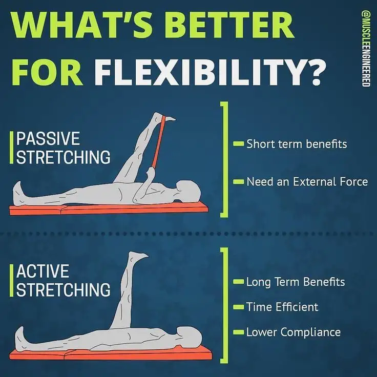 Lịch Trình Giãn Cơ Toàn Diện: Hướng Dẫn Khoa Học Cho Người Việt 4 e4715357d32a4dacb2da1a4b2b166bf4